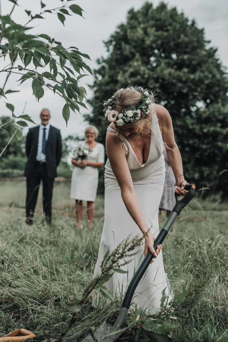 Bride Plants Tree