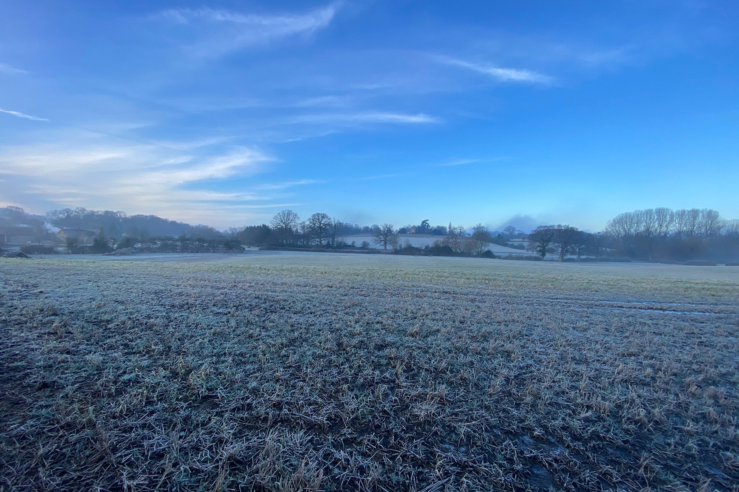 Part of the land which is being rewilded at Elmore Court in Gloucestershire UK