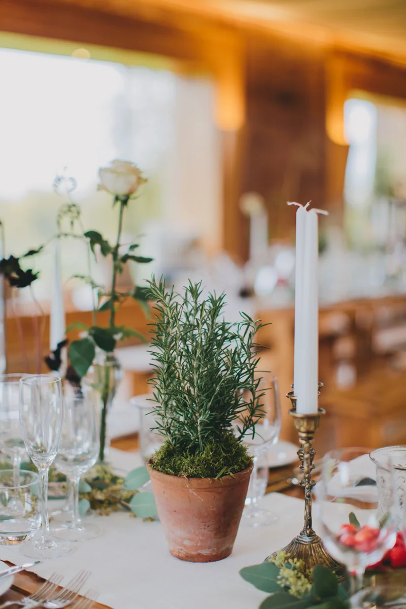 Outdoor Wedding Ideas Tables