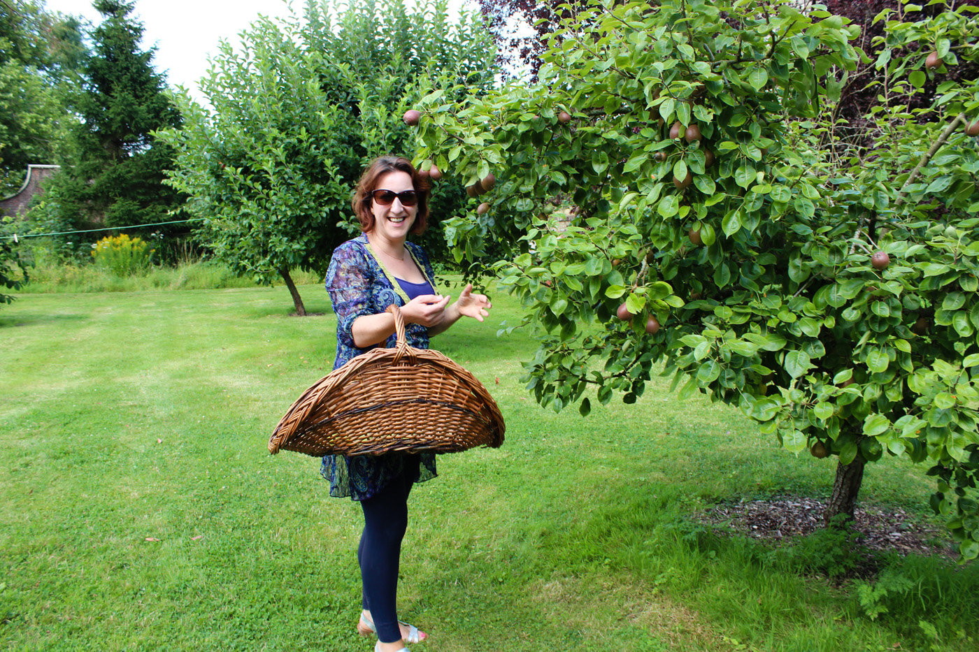 Orchards Elmore Court