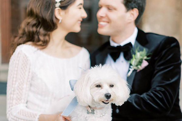 Newly wed could sitting on the steps of a lovely stately home with their furry dog friend on their laps