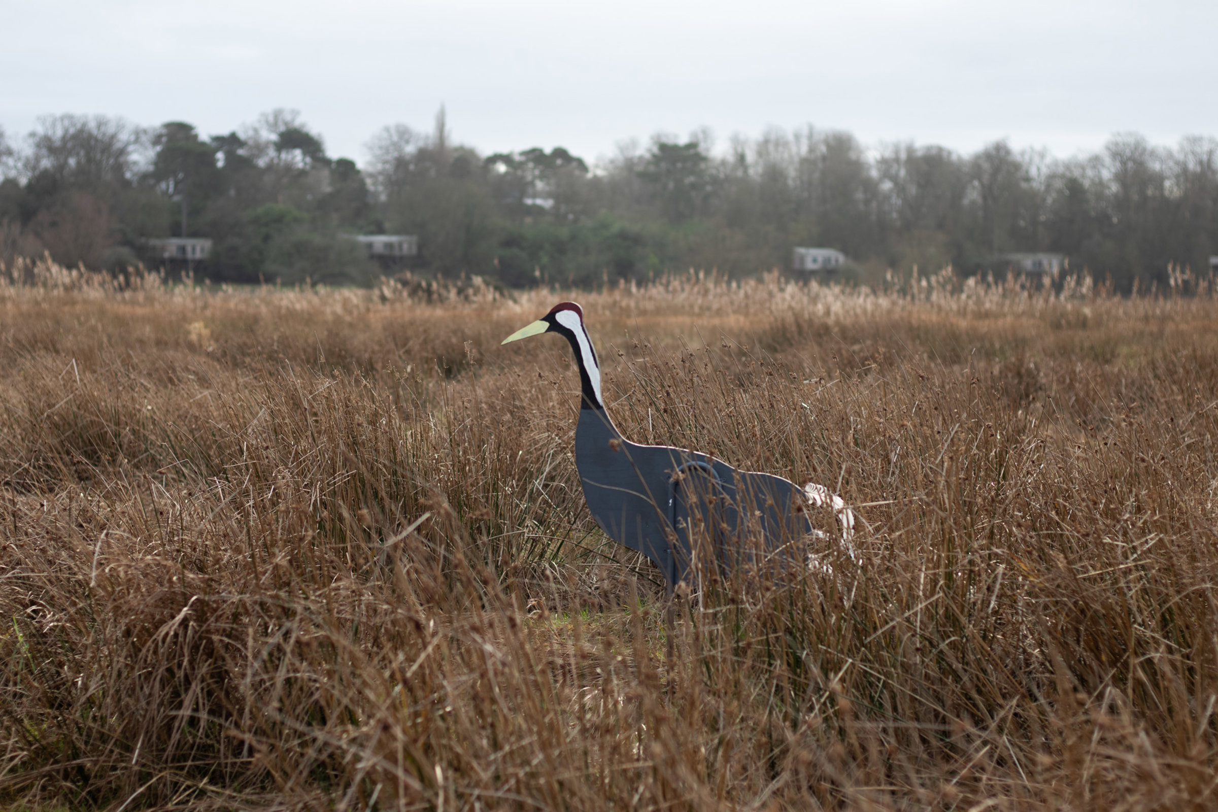 IMG 7806