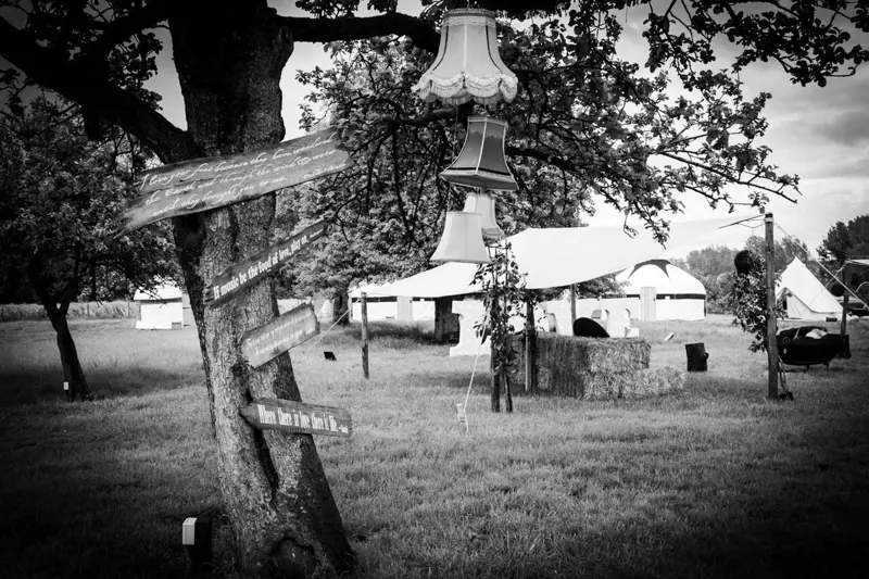 Jakeainley Festival Wedding Lighting Style