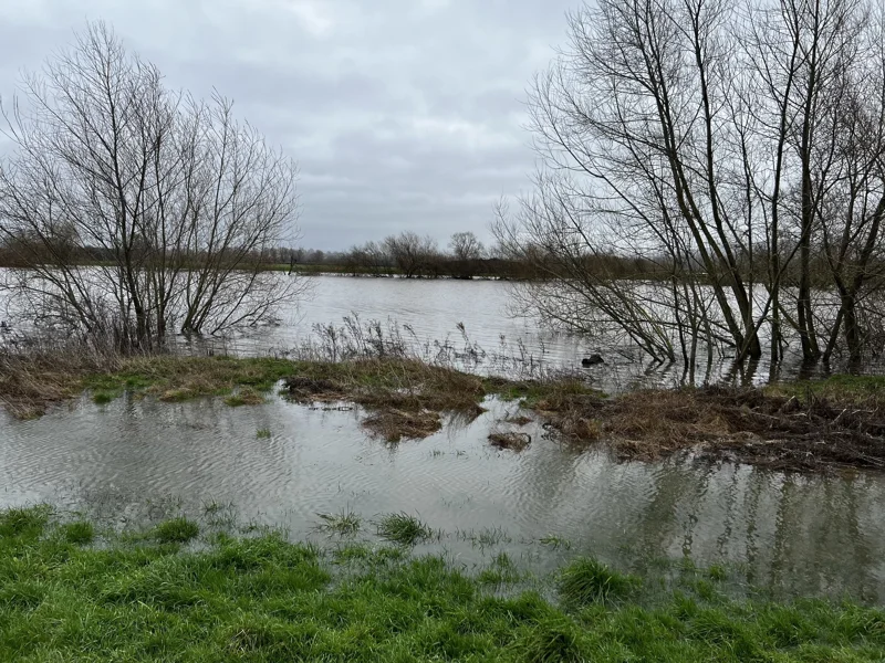 High Tide At The River Severn At Elmore Estate