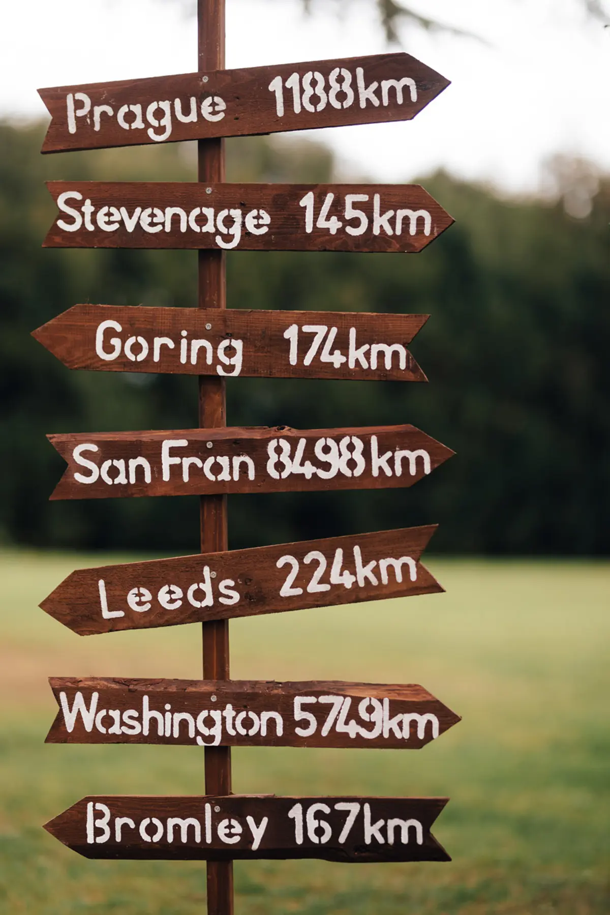 Wedding Direction Signs