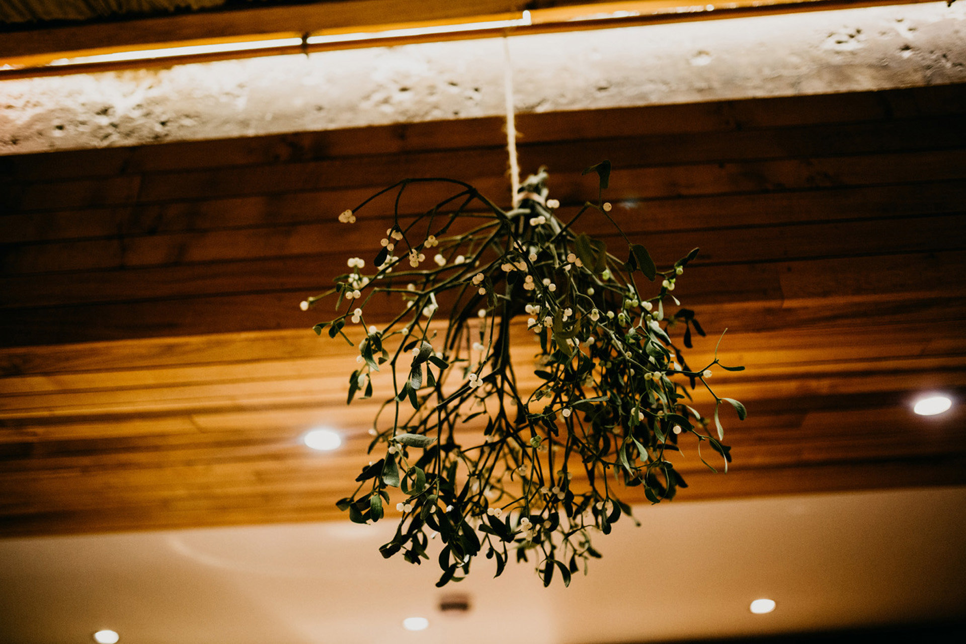 Leah Aaron Wedding 924