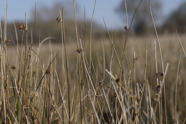 IMG 8009 2