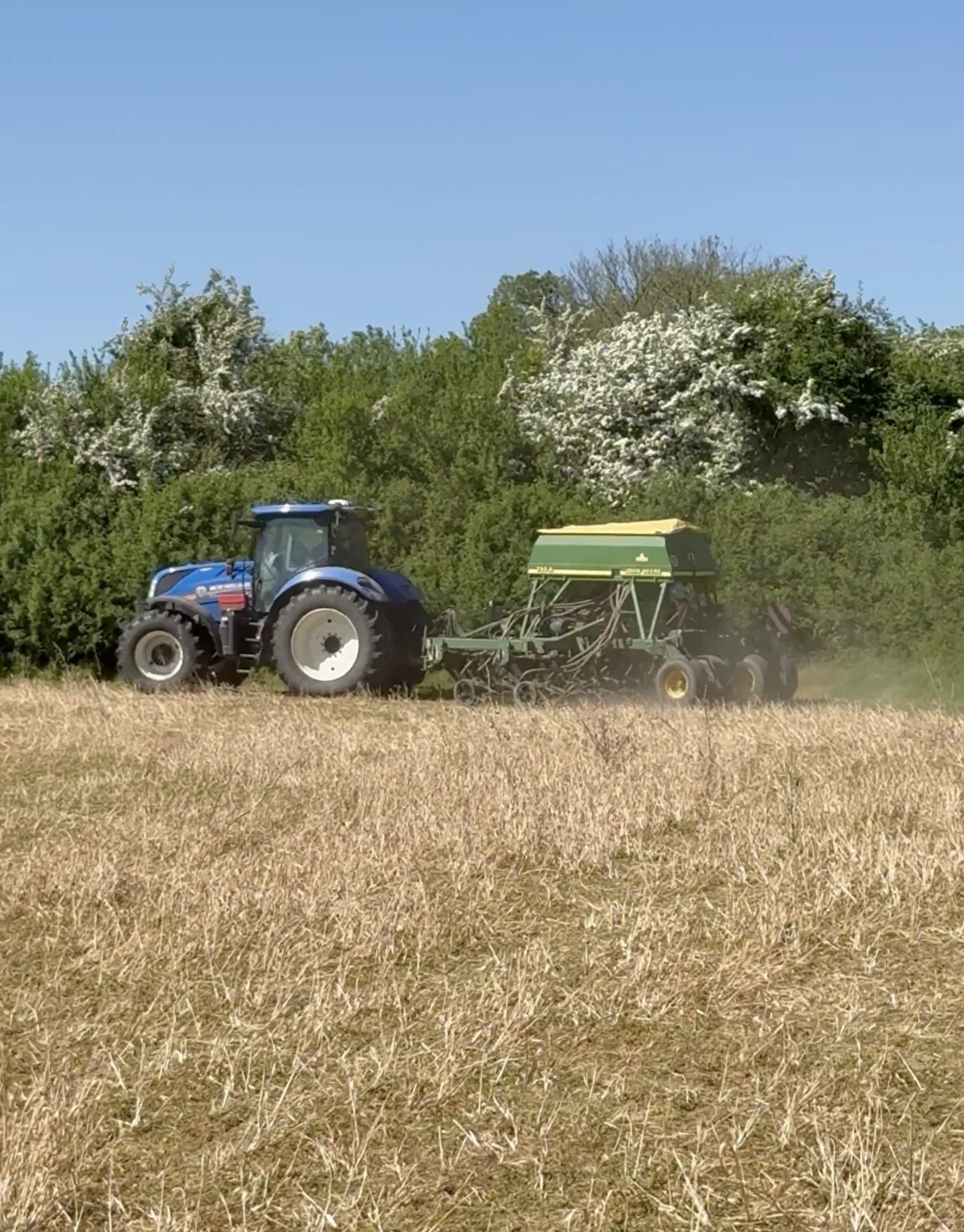 Direct drilling at Elmore Estate