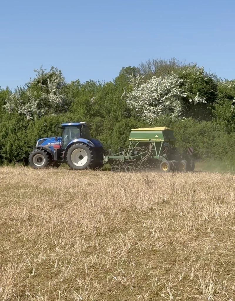 Direct drilling at Elmore Estate