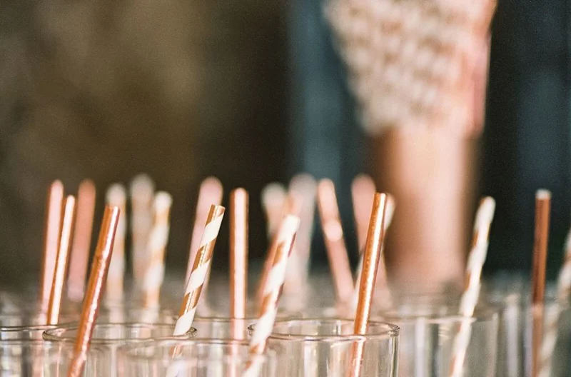 Annkathrinkoch Rose Gold Straws Style