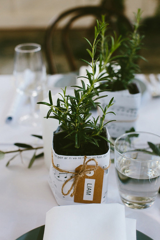 Potted Herb Wedding Favors