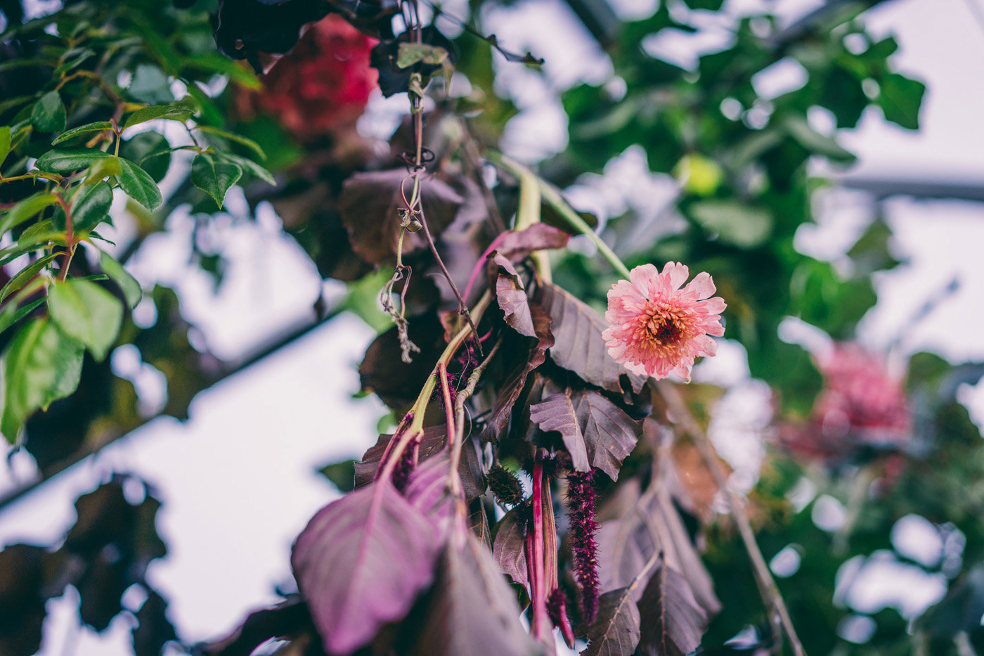 Wild Wedding Styling4