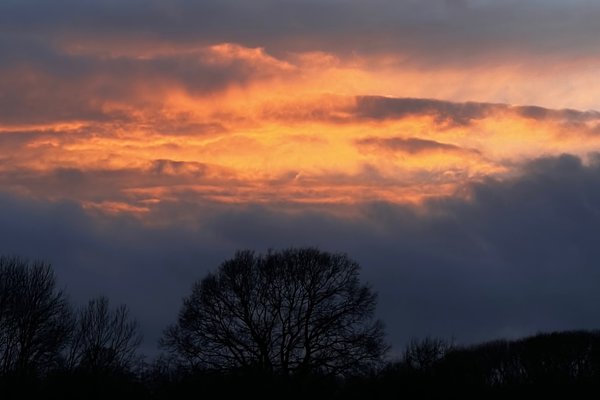 Sunset Over Elmore Estate Copy