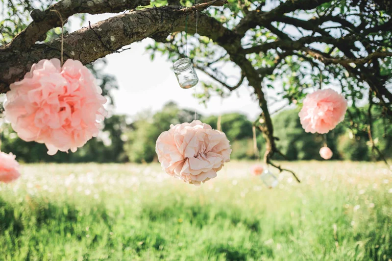Tree Decorations Outdoor Weddings