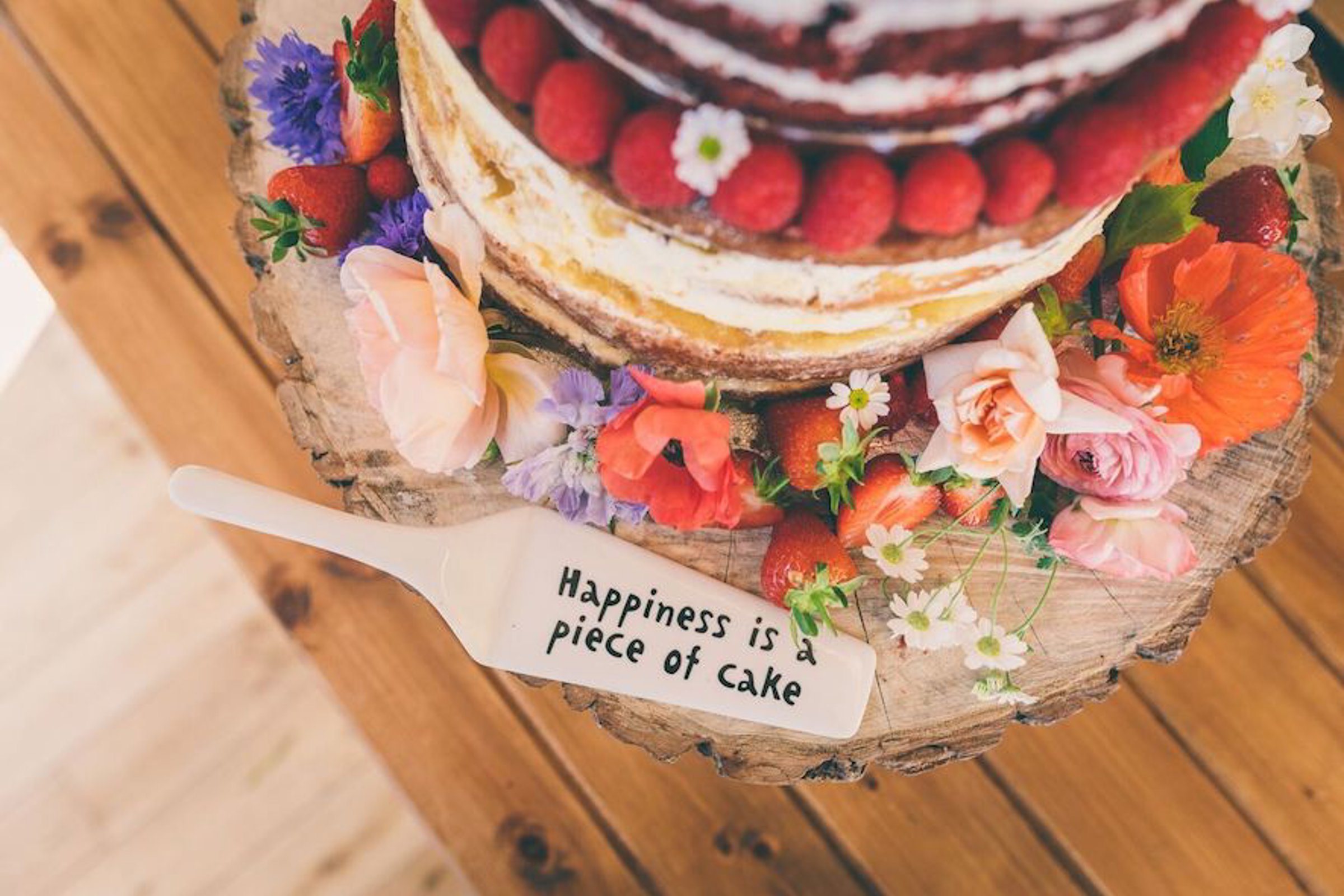 Robtarren Fun Wedding Ideas Cake Slice