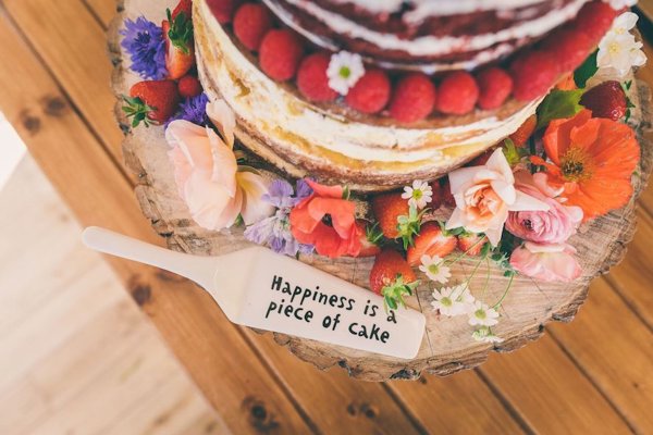 Robtarren Fun Wedding Ideas Cake Slice