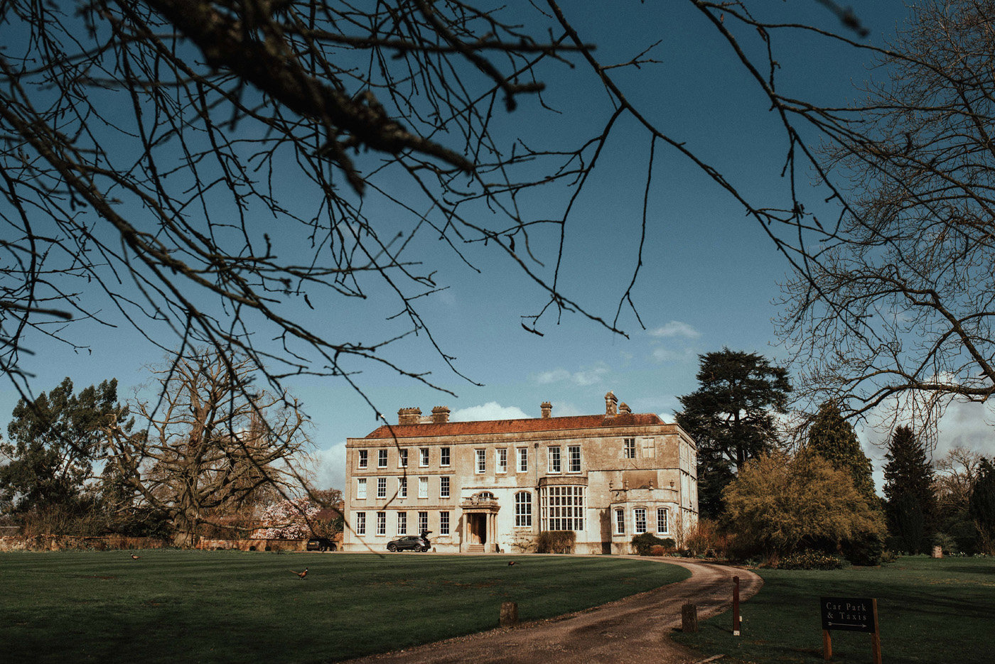 Festival Weddings Venue