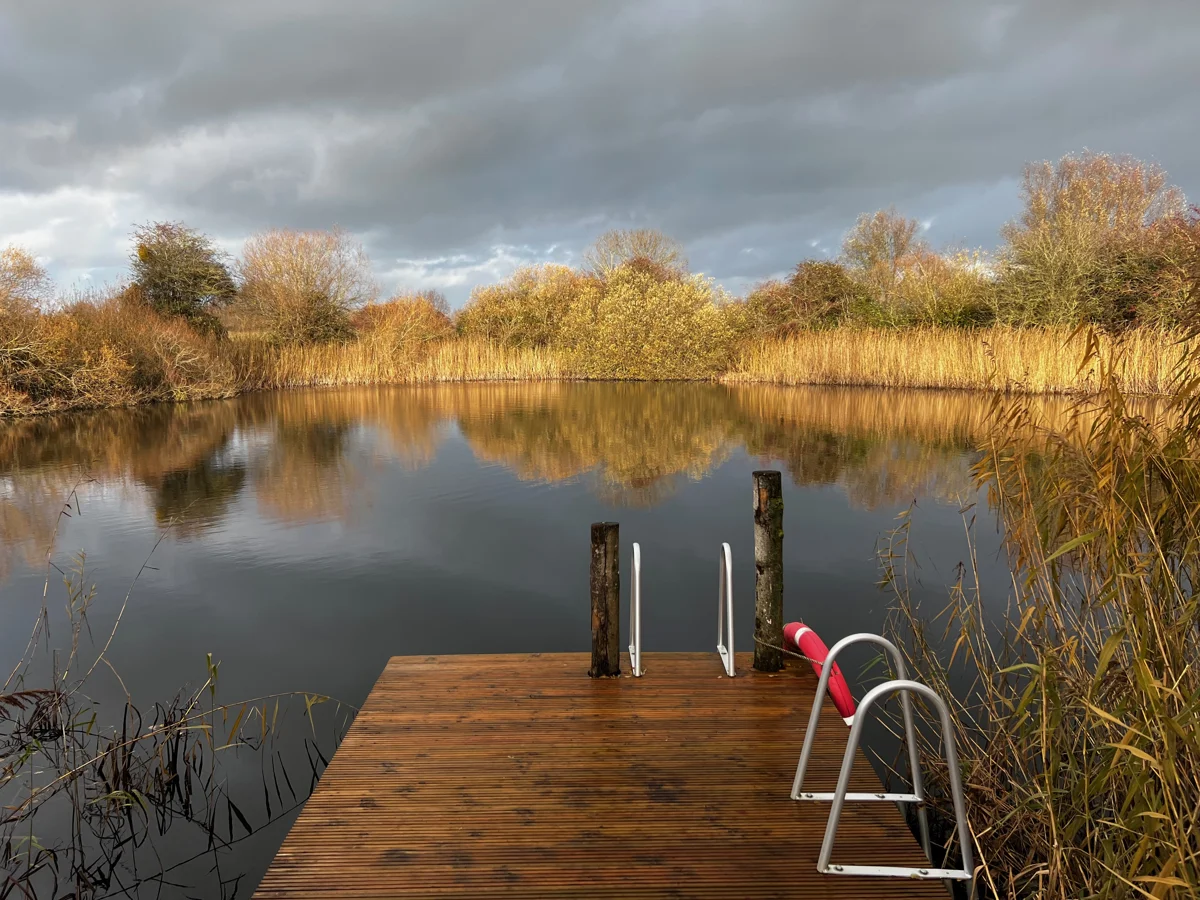 Risen Water Level In Pond