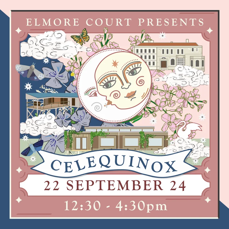 Celequinox Insta Grid