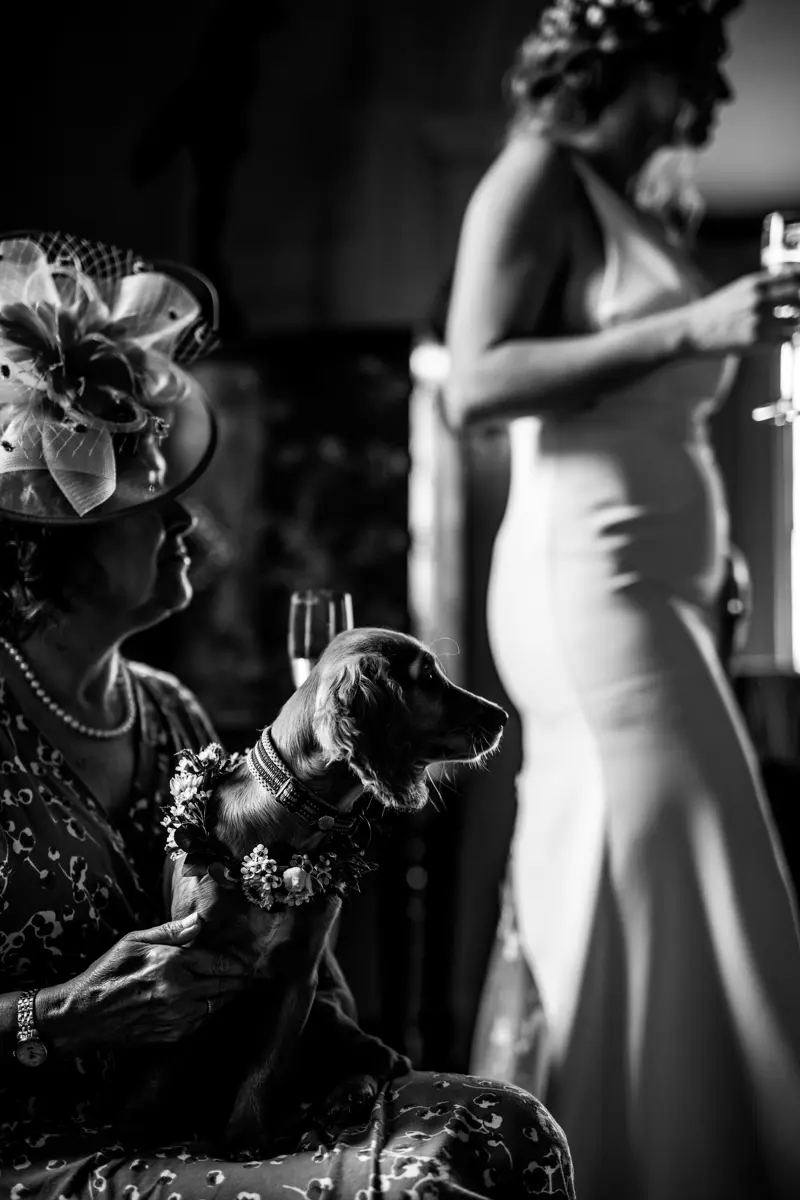 Puppy Bridesmaid Micro Wedding