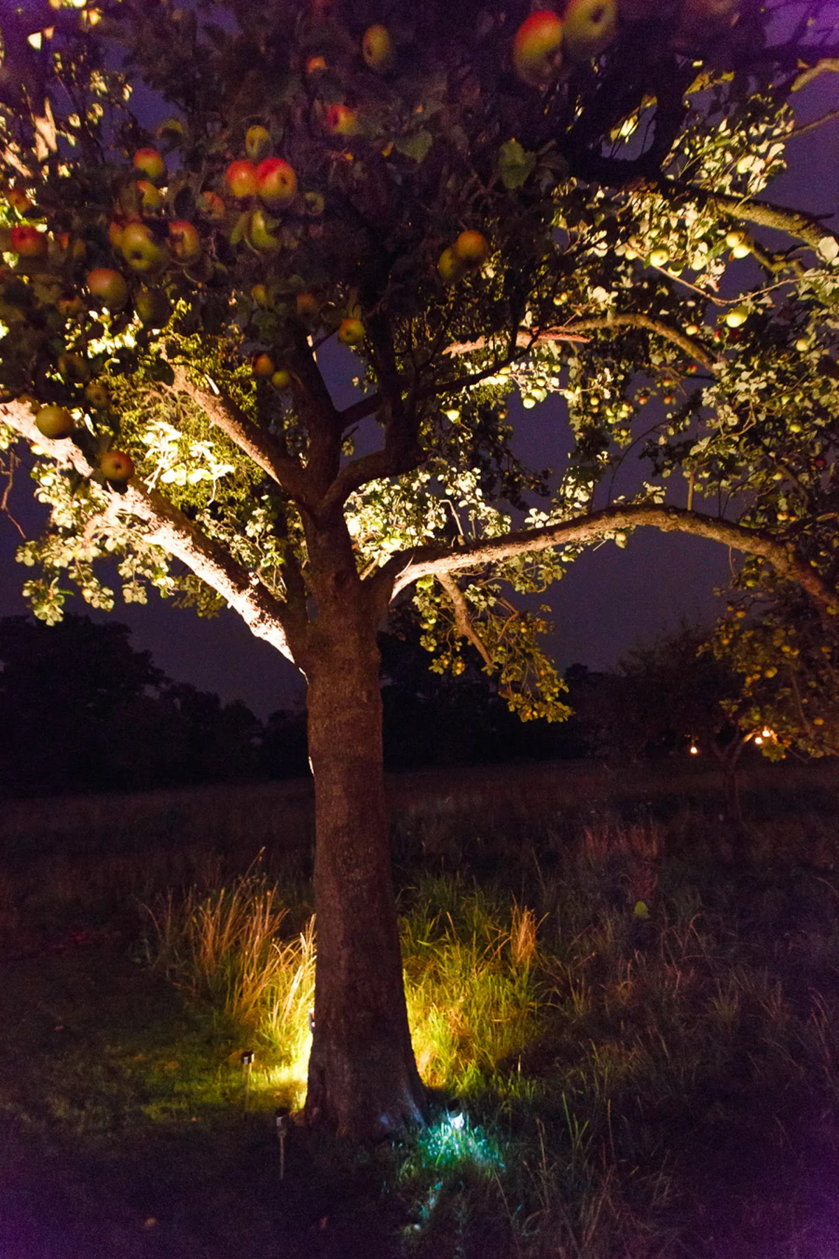Elmore Court 453 140905 Chaloner And Gwilliam Photoglow Jonathon Watkins Weddings And Events