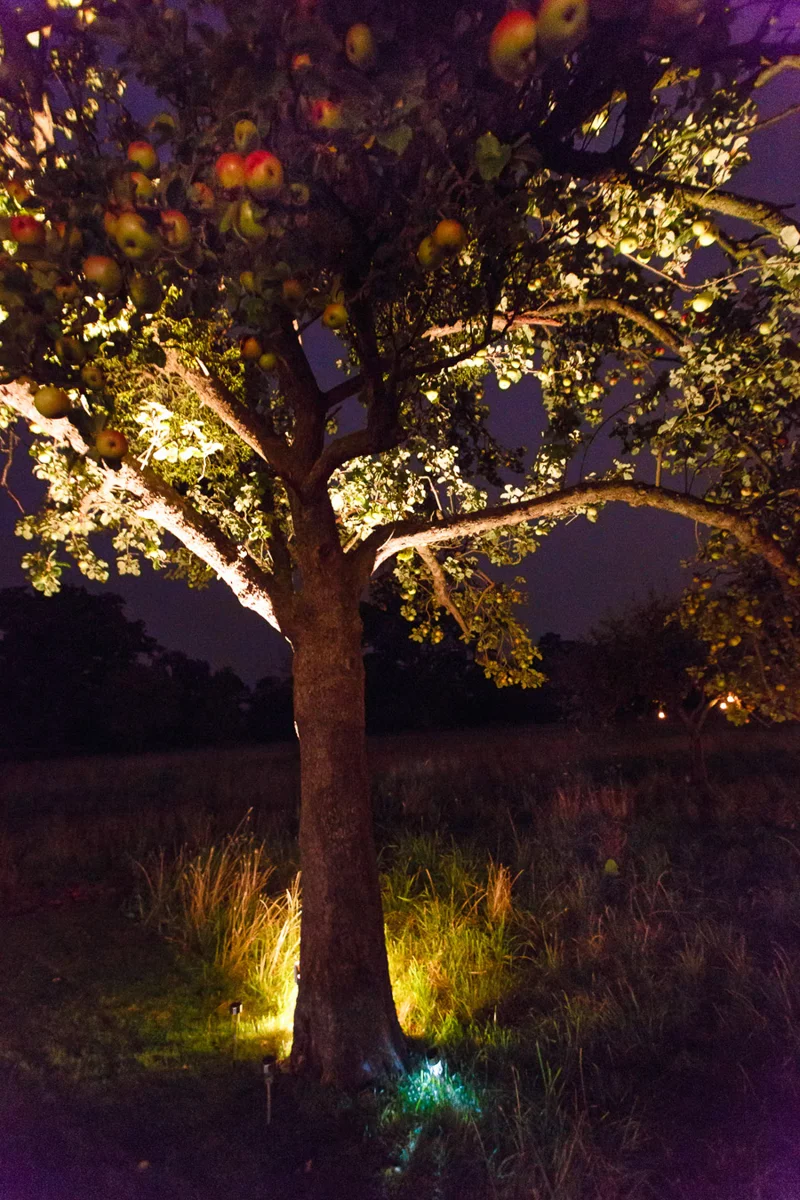 Elmore Court 453 140905 Chaloner And Gwilliam Photoglow Jonathon Watkins Weddings And Events