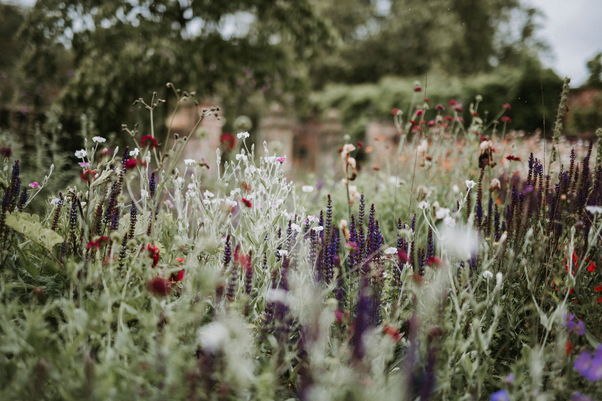 Micro Wedding Cotswolds