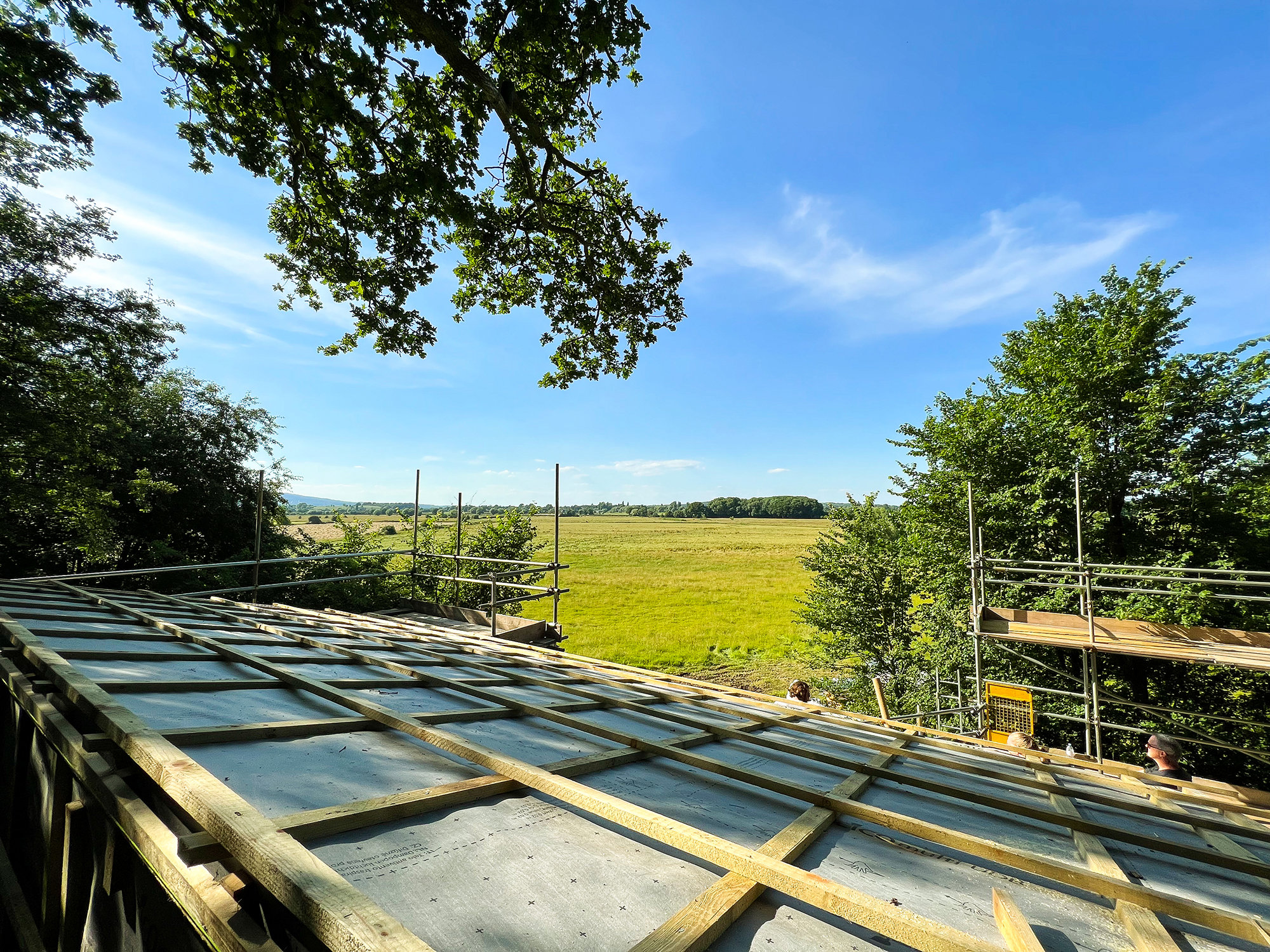 Stunning summer view from a treehouse overlooking a rewilding field; treehouse is in a woodland area and is half way through construction