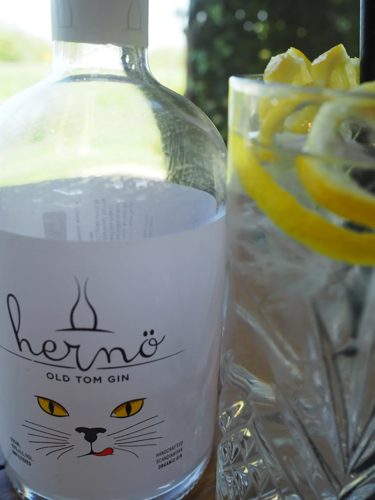Elmore Gin Bar Tom Collins 1