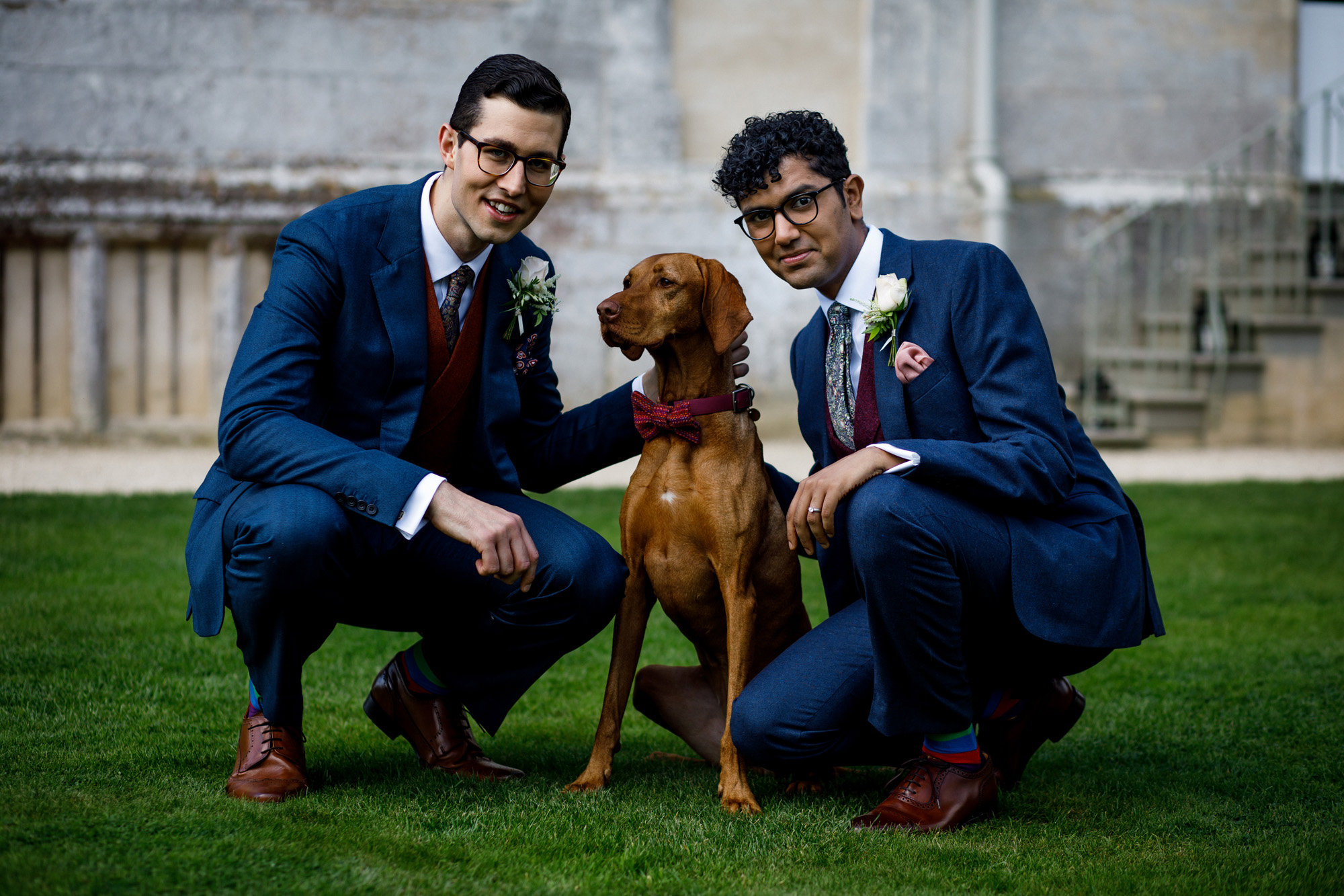 Gay Wedding With Dogs