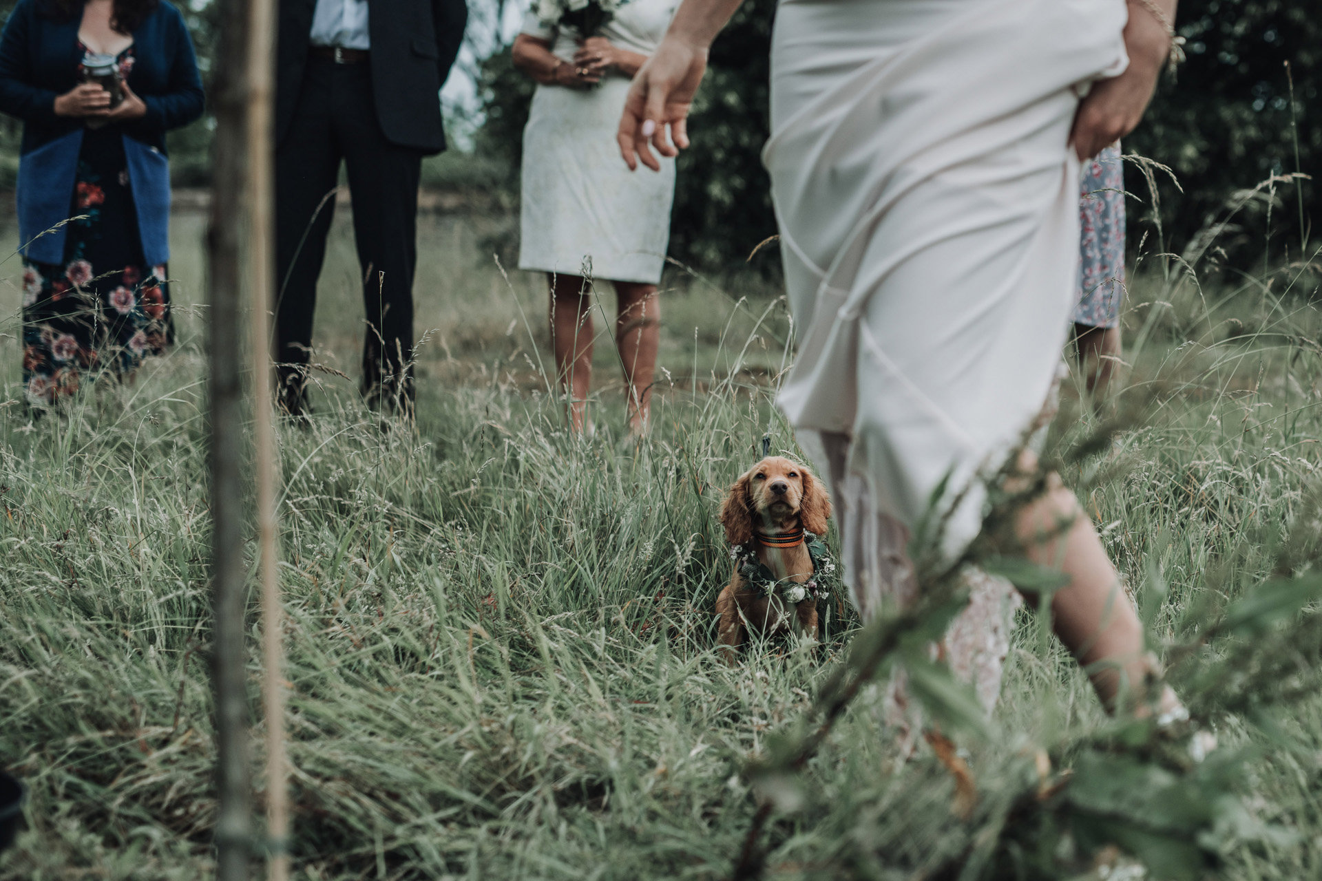 Dog Friendly Tree Wedding