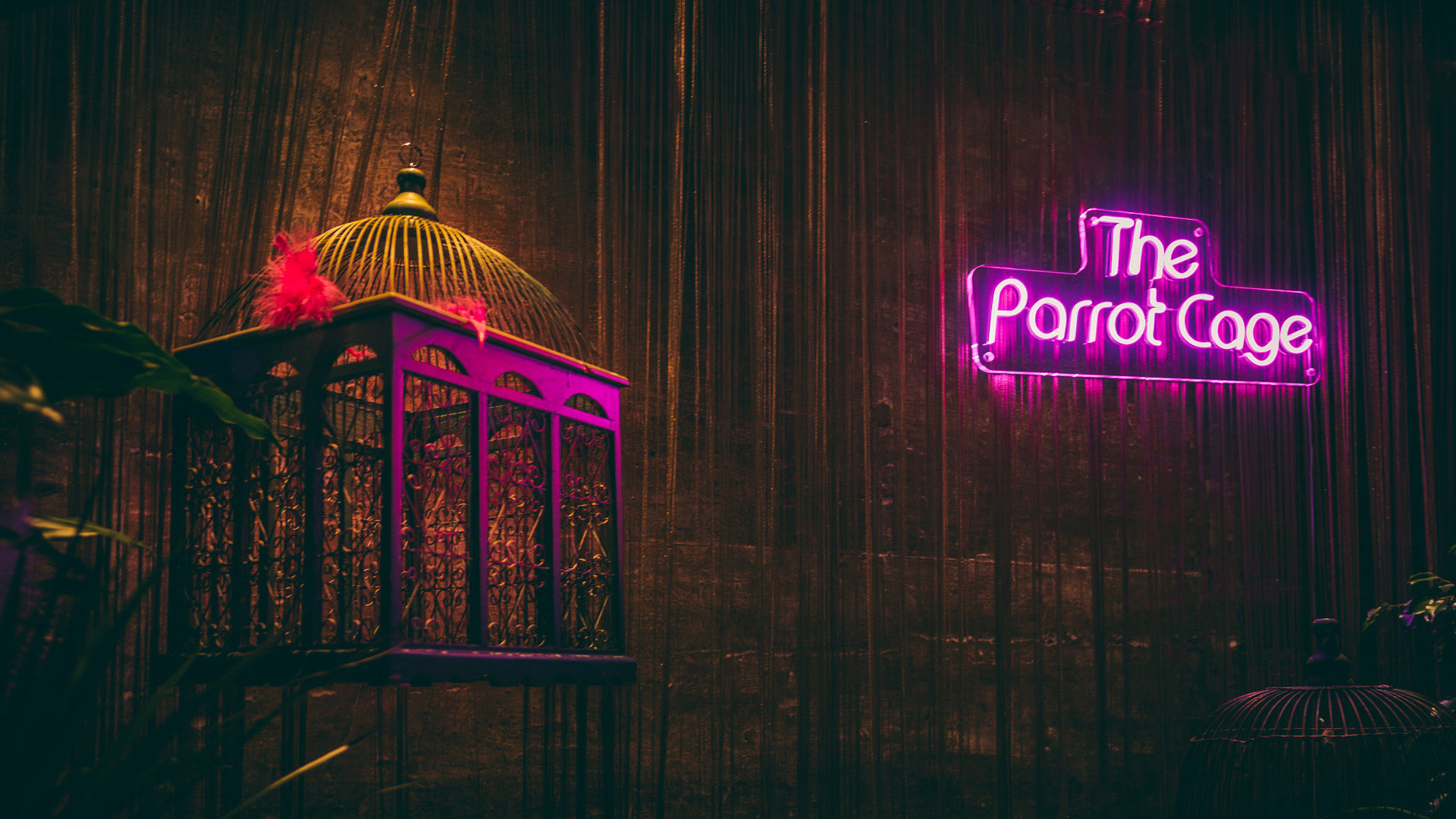 The Parrot cage immersive dinner experience at elmore court