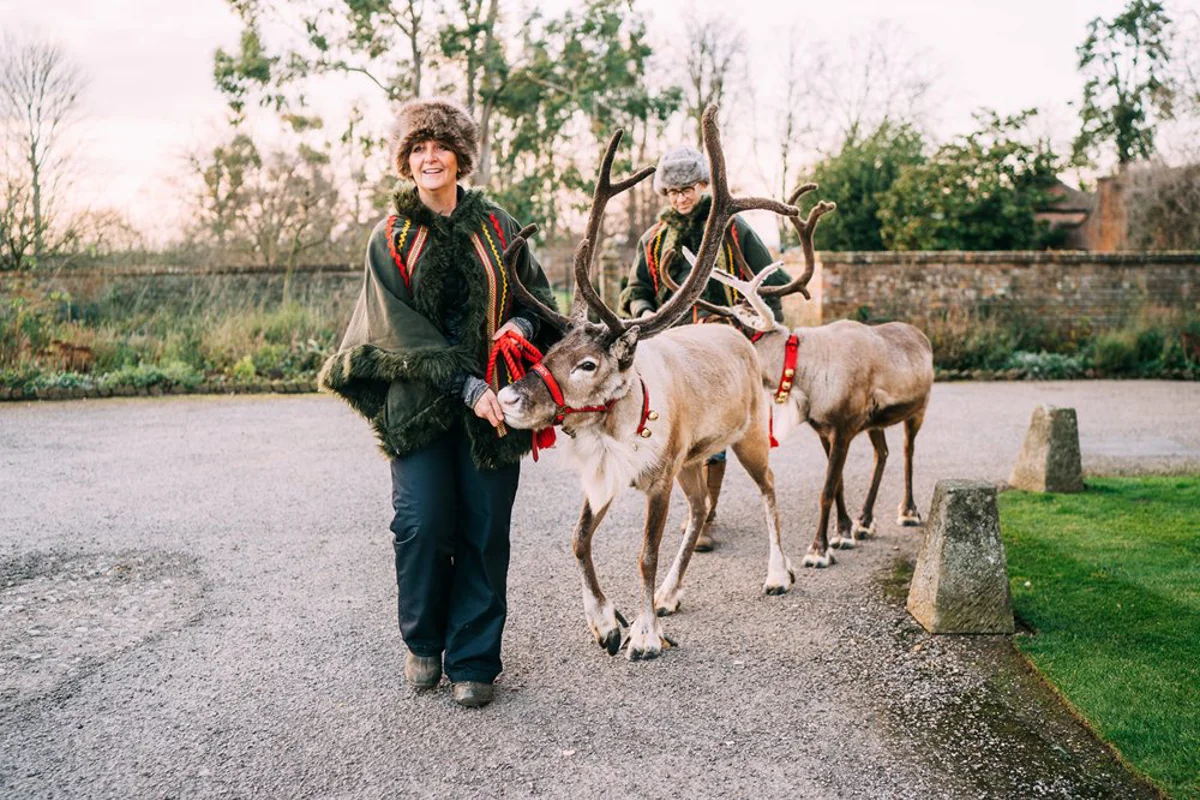Christmas Reindeer Wedding