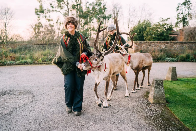Christmas Reindeer Wedding