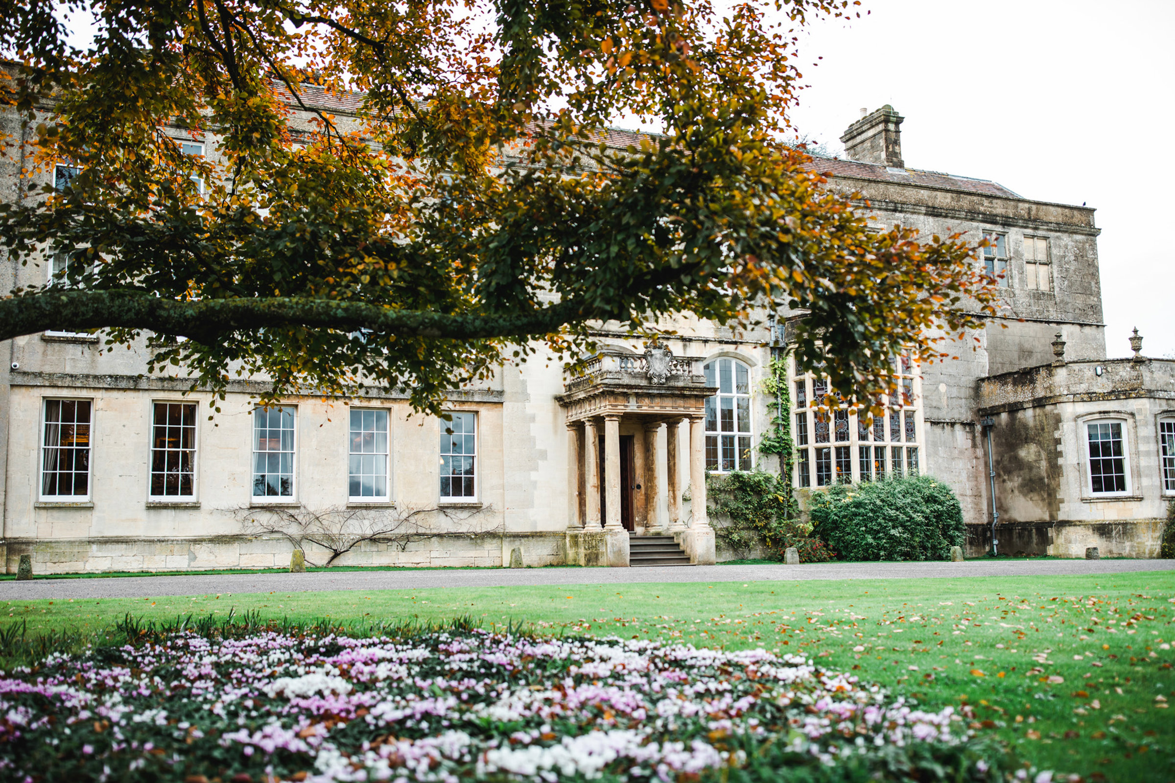 Stately home seen through tree branches at a micro wedding in 2020 pandemic