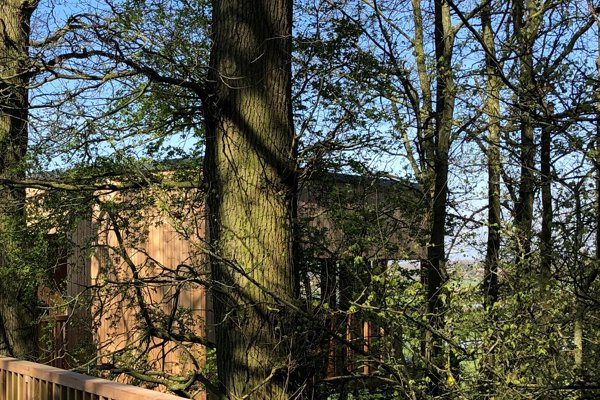 Treehouse In The Trees