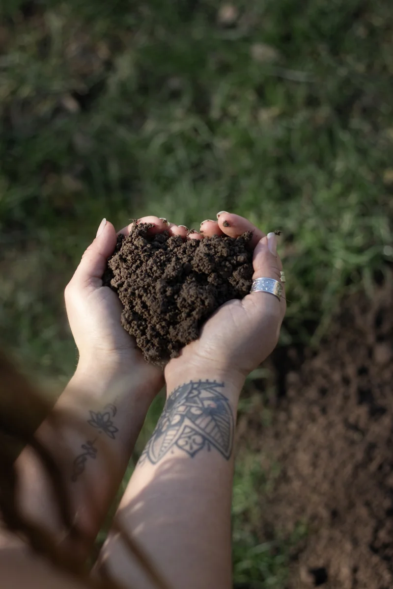 Soil 2