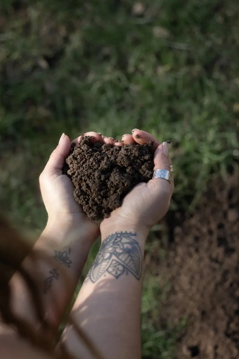 Soil 2
