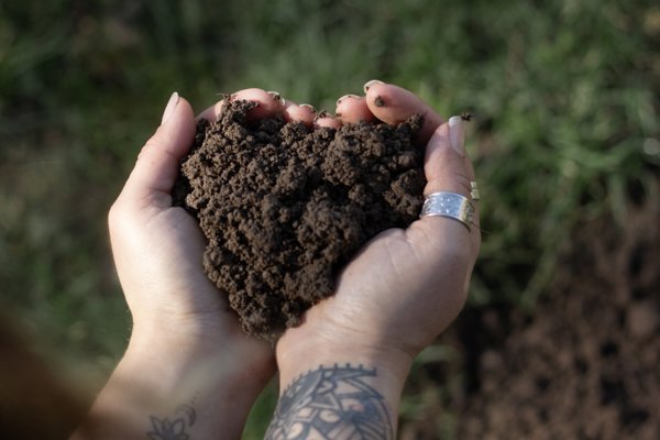 Soil 2