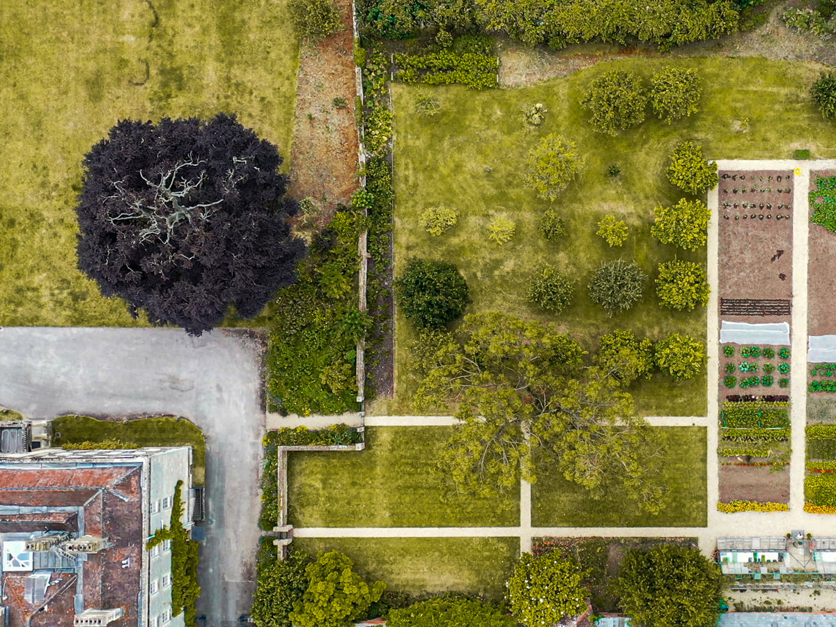 Elmore Estate Aerial3