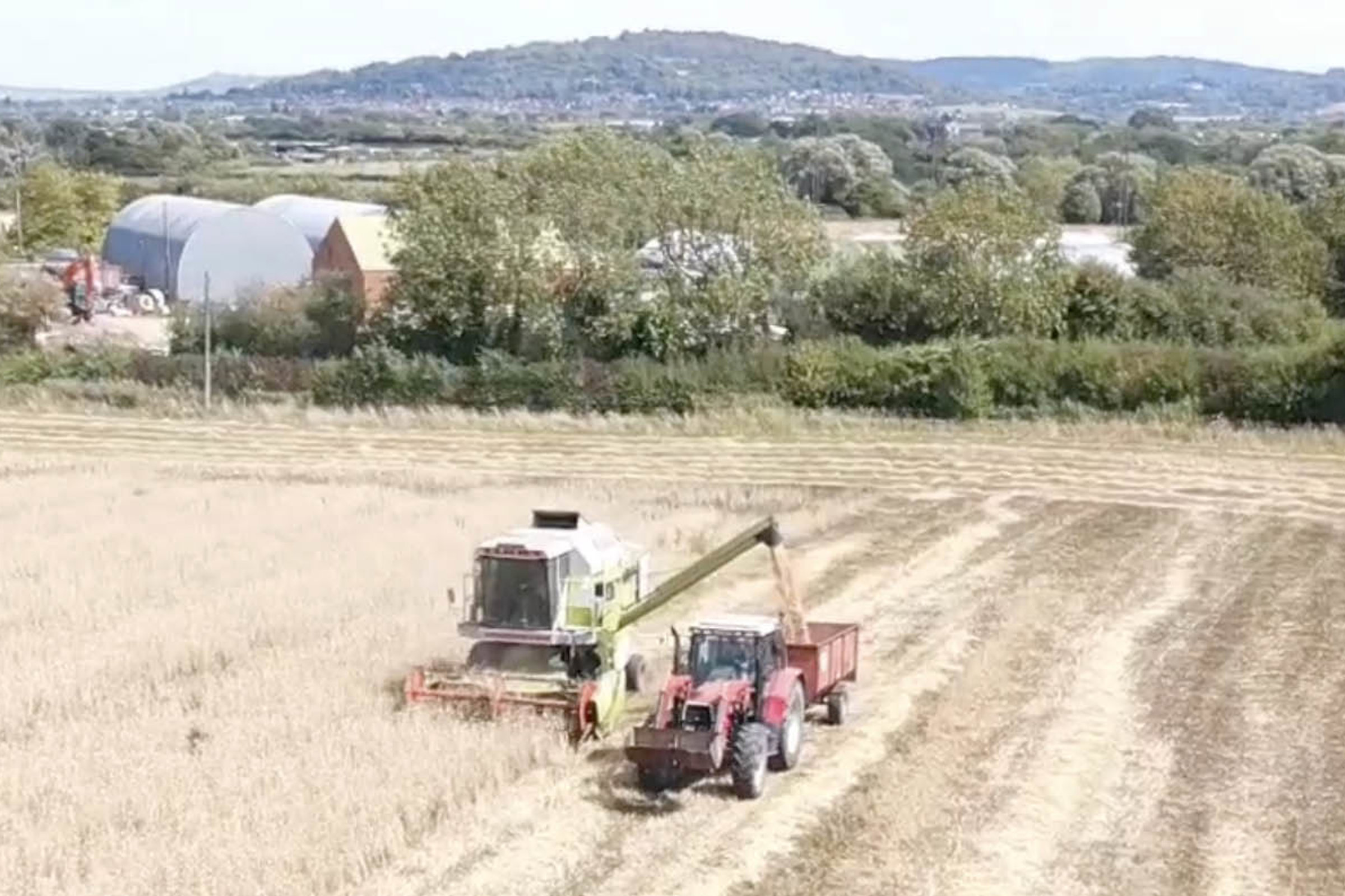 Harvest