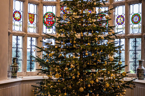 Best Winter Wedding Venues