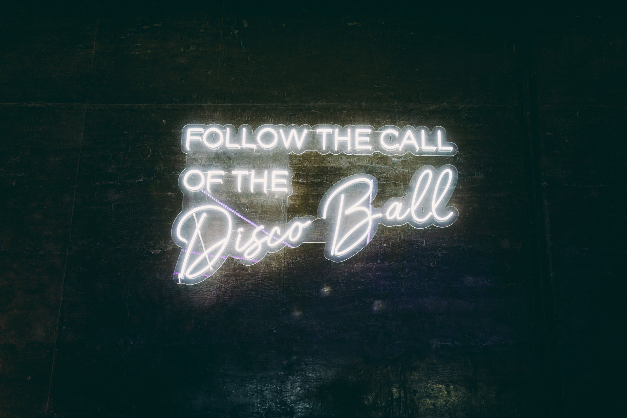 Follow The Call Of The Disco Ball