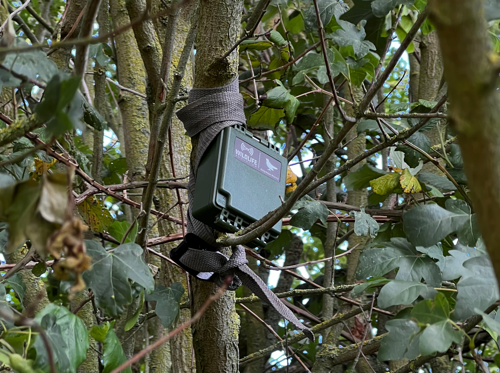 Bioacustic recorder on elmore estate rewilding land.png