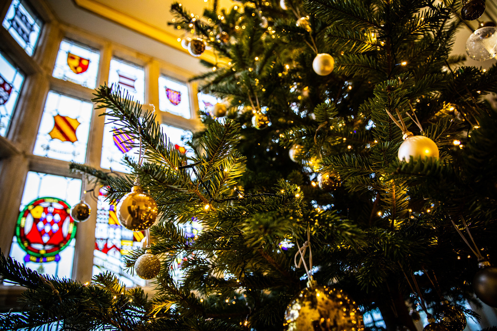 Christmas Wedding Venue