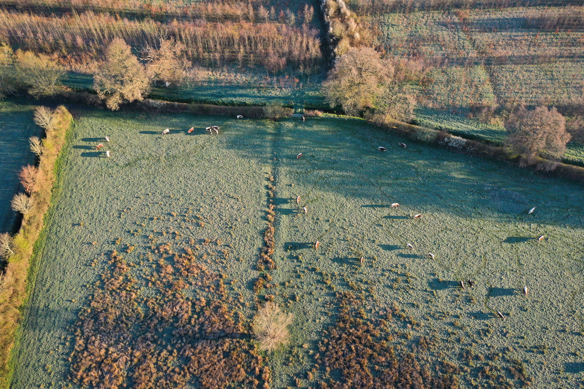 Dji 0750 Resized