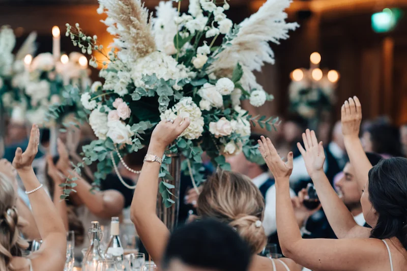 Wedding Party Best Bands