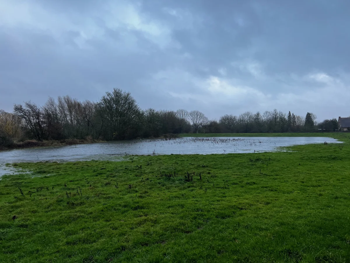 Standing Water In Field Near River