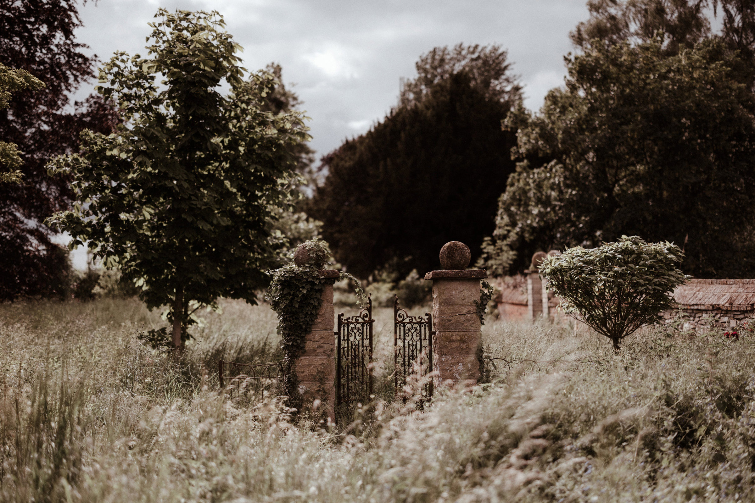 Green wedding venue with rewilding meadows and walled garden with orchards in the cotswolds countryside