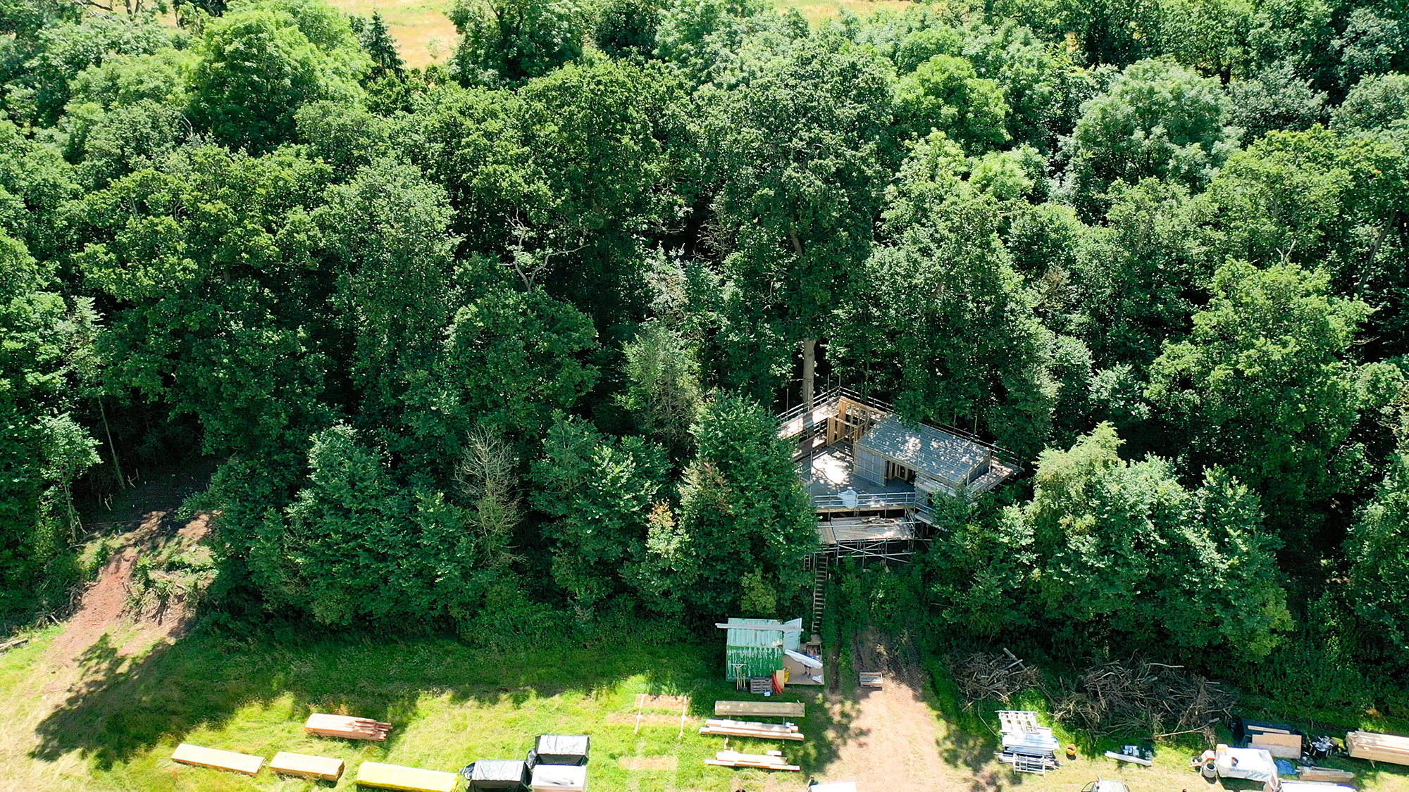 A sunny day next to a lush woodland that has a modern treehouse being built in it